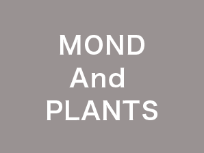 MOND And PLANTS