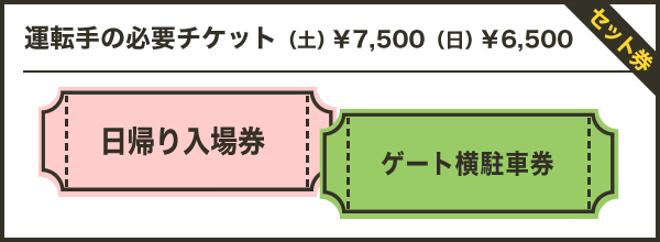 運転手の必要チケット