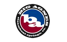 BIG AGNES