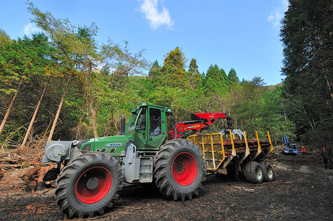 ［野外授業］きこりマイスター認定講座