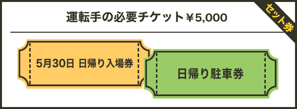 運転手の必要チケット
