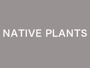 NATIVE _PLANTS