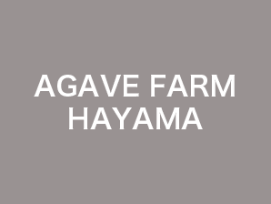 AGAVE FARM HAYAMA