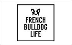 French Bulldog Life