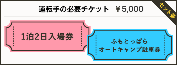 運転手の必要チケット