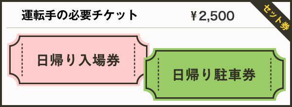 運転手の必要チケット