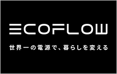 EcoFlow