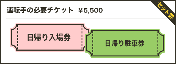 運転手の必要チケット
