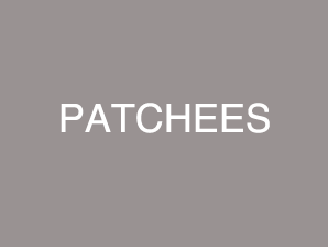 PATCHEES